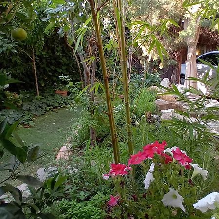 Apartamento Centrico En Villaviciosa De Odon Bagian luar foto